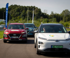 Energy Mix Arval 2020