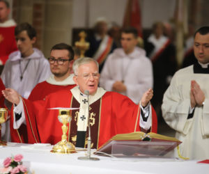 Homilia abp Jędraszewskiego