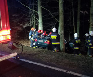 BMW rozbiło się na drzewie