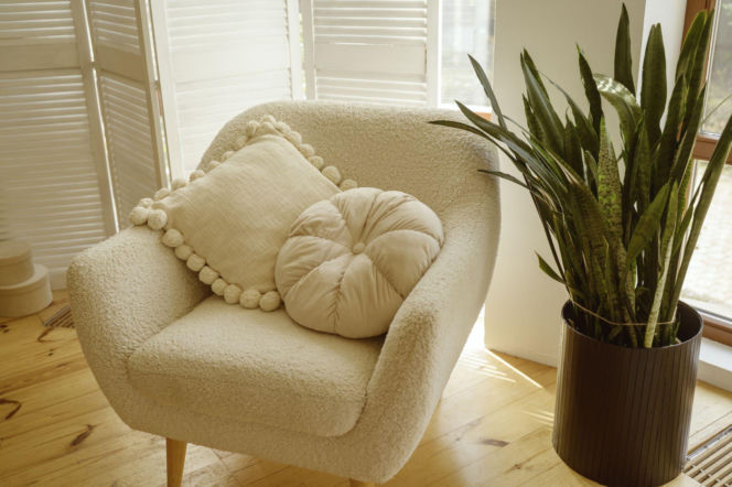 Rośliny w minimalistycznych wnętrzach