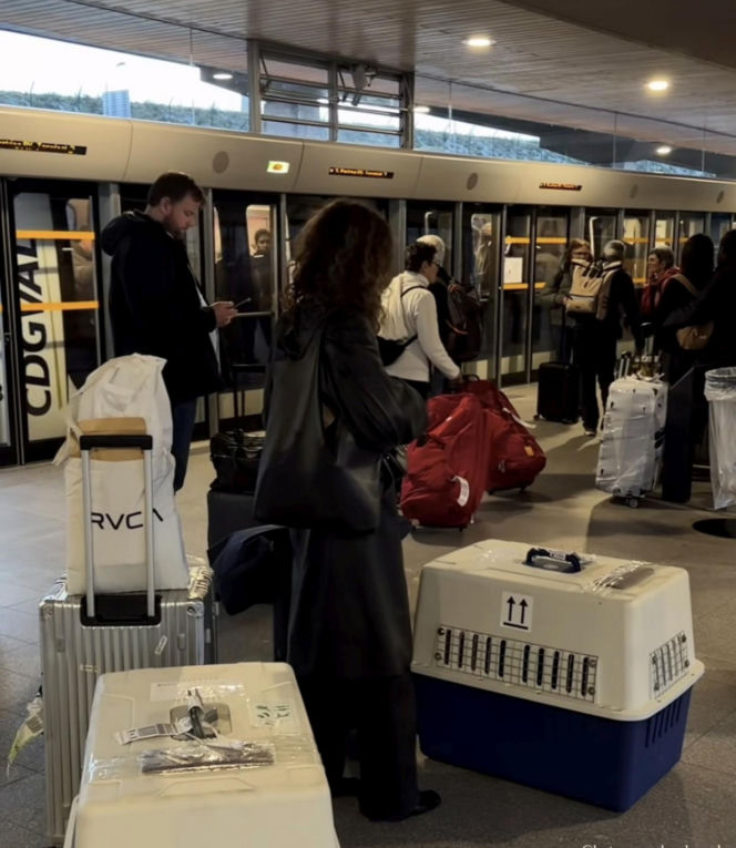 Malwina Wędzikowska uratowała psa