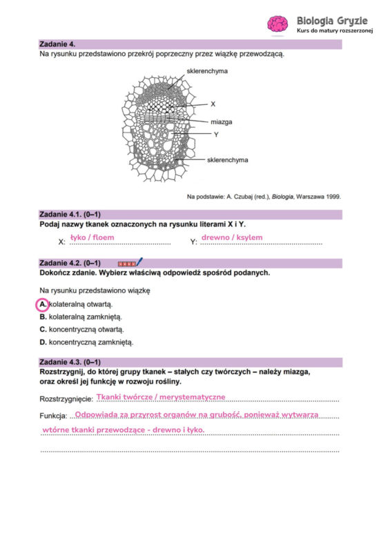 Matura próbna 2026 - biologia. Wszystkie odpowiedzi do arkusza CKE z biologii 14.01.2026