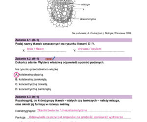 Matura próbna 2026 - biologia. Wszystkie odpowiedzi do arkusza CKE z biologii 14.01.2026