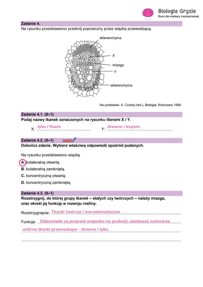 Matura próbna 2026 - biologia. Wszystkie odpowiedzi do arkusza CKE z biologii 14.01.2026