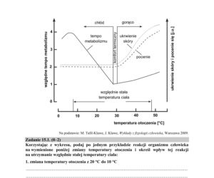 Matura 2020 ARKUSZE CKE z biologii POZIOM ROZSZERZONY 
