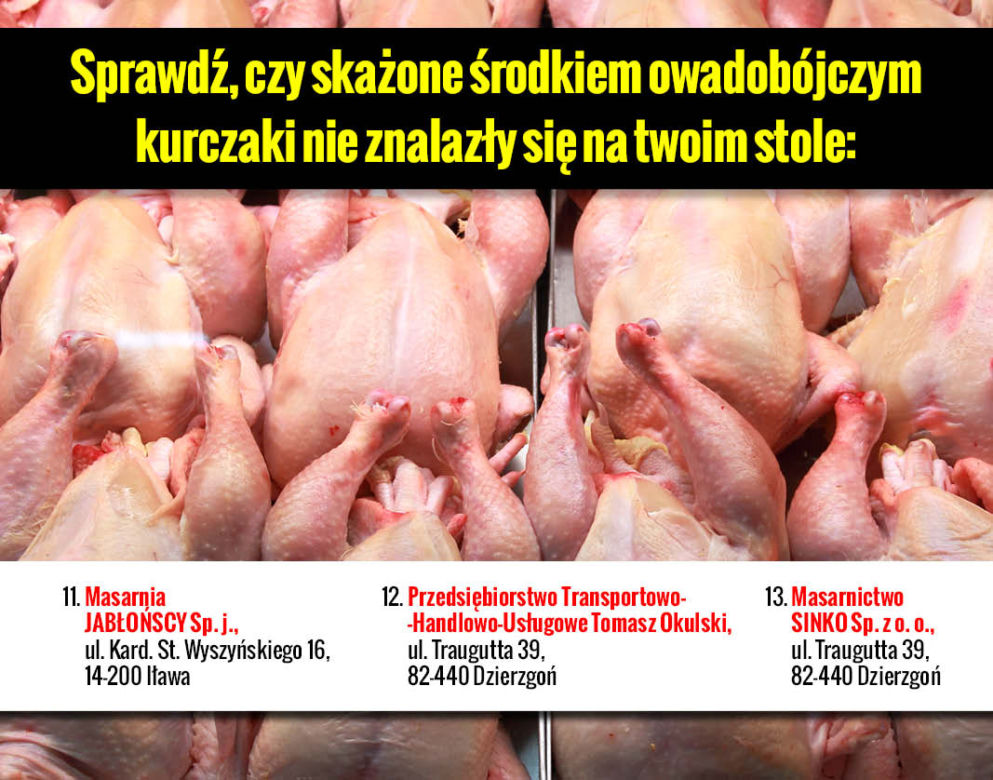 Galeria Skażone kurczaki adresy 4