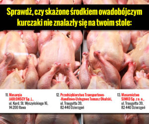 Galeria Skażone kurczaki adresy 4
