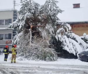 Pogodowy armagedon w Małopolsce. Drzewa łamały się jak zapałki. Setki interwencji