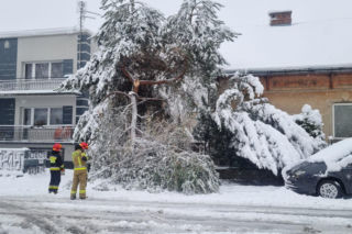 Pogodowy armagedon w Małopolsce. Drzewa łamały się jak zapałki. Setki interwencji