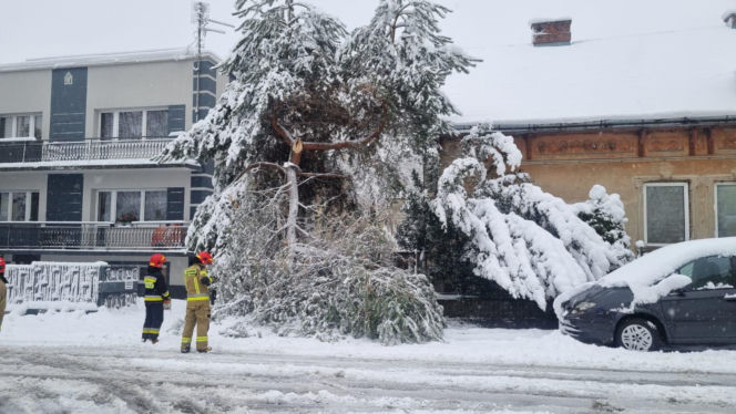 Pogodowy armagedon w Małopolsce. Drzewa łamały się jak zapałki. Setki interwencji