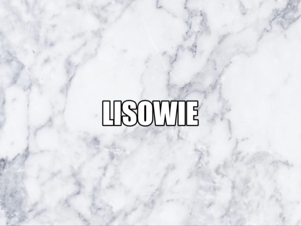 Masz tak na nazwisko? Możesz mieć szlacheckie korzenie! Osoby o tych nazwiskach powinny to wiedzieć
