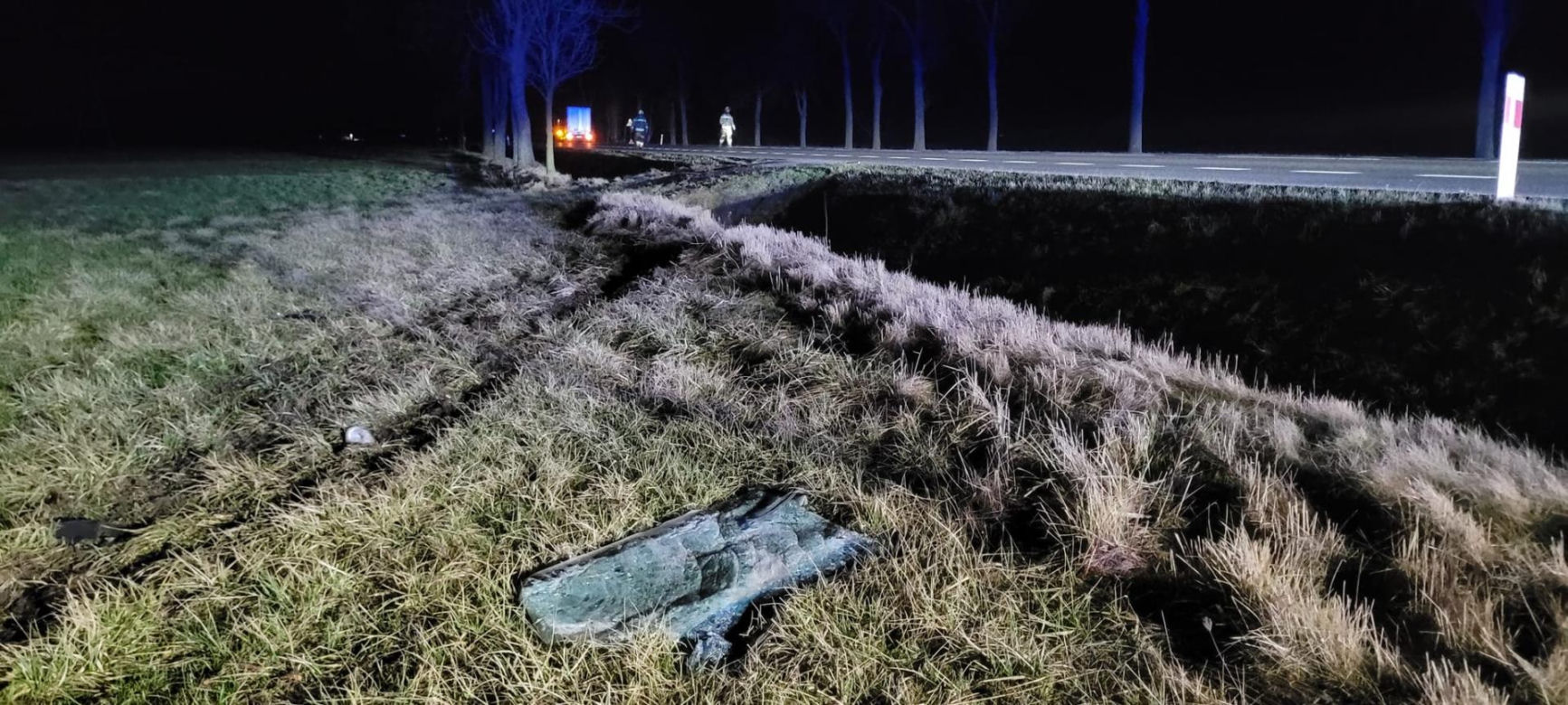 Potężny łoś wyskoczył z przydrożnego rowu. Przebił racicami dach auta i poważnie ranił 29-latkę