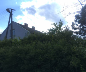 Wzięła na siebie winę męża. Tajemnicze postrzelenie czterolatki pod Rykami