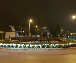 Chryzantemy ozdobiły Starachowice