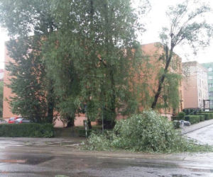 Burza nad Śląskiem zbiera żniwo. Połamane drzewa i braki w dostawie prądu [ZDJĘCIA, WIDEO]