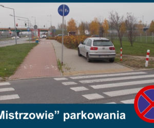 Warszawscy mistrzowie parkowania w listopadzie 2020