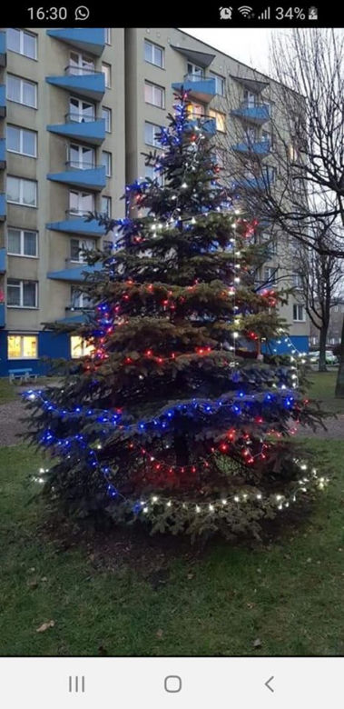 Mieszkańcy przystroili choinkę, a administracja ją... wycięła. Kuriozalna sytuacja w Katowicach
