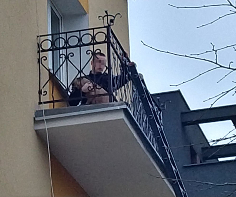 Pies na balkonie