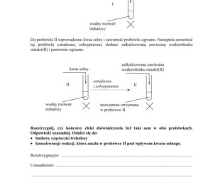 Matura 2020 ARKUSZE CKE: Chemia