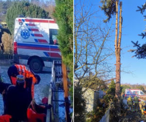 Dramat na ogródkach działkowych. Mężczyzny nie udało się uratować!