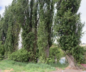 Unii Lubelskiej i Błonia Zamkowe do remontu. Czy dawna słodownia też się doczeka?