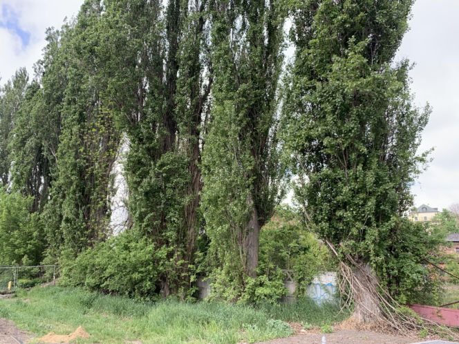 Unii Lubelskiej i Błonia Zamkowe do remontu. Czy dawna słodownia też się doczeka?