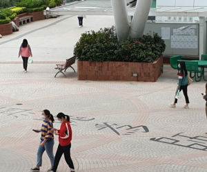 Hong Kong w czasach koronawirusa. Profesor z UWM zdradziła, jak wygląda tam życie uniwersyteckie