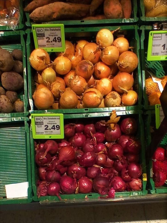 Cebula