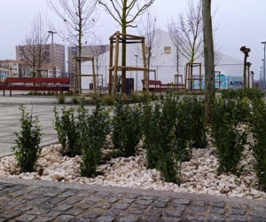 Plac przed Netto Areną po przebudowie