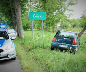 Po uderzeniu w drzewo uciekł razem z pasażerem