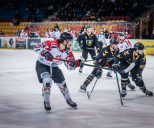 KH Energa Toruń - GKS Katowice 3:6, zdjęcia z meczu