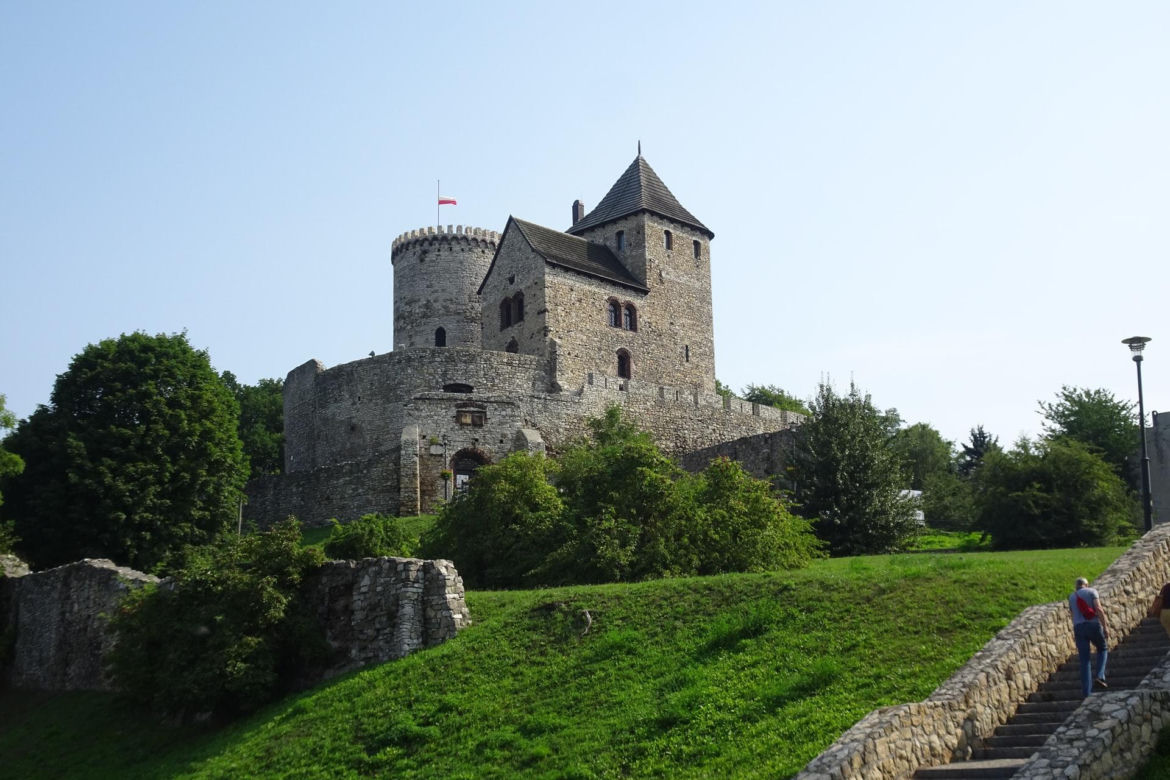 7. Będzin - 174 hektarów lasów