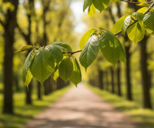Pogoda na majówkę 2026 w Warszawie. Wybuch temperatury! Na to czekali mieszkańcy