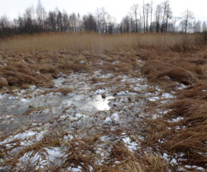 Tajemnicza śmierć 20-letniego Patryka. Pod Lubartowem znaleźli ciało 