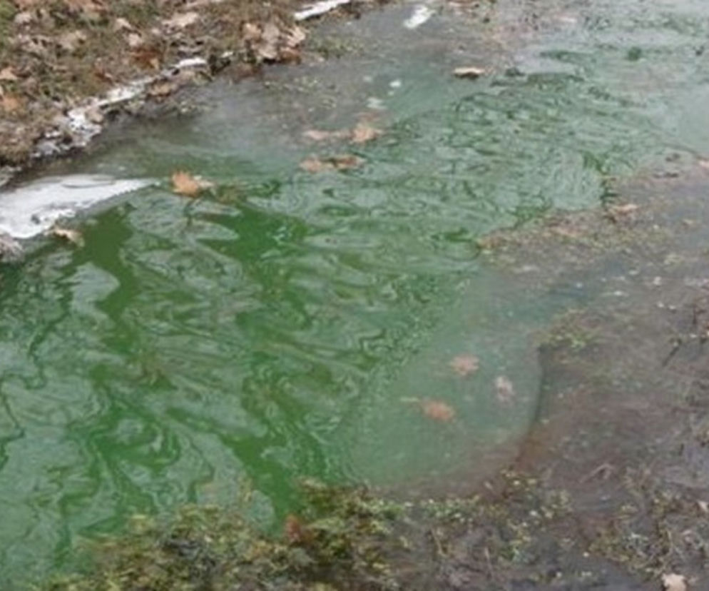 Woda zabarwiona fluoresceiną