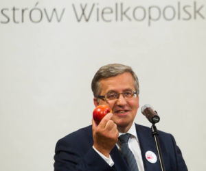 JABŁKA