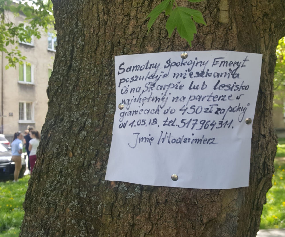 Ogłoszenie Pana Włodzimierza