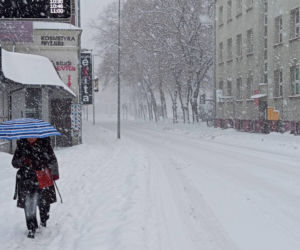 Atak zimy na wybrzeżu. Burze śnieżne, zasypane drogi i alerty IMGW