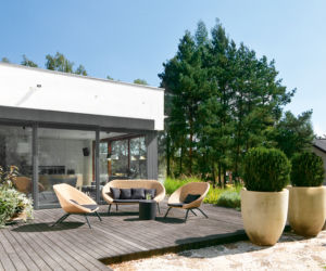 murki i donice na tarasie