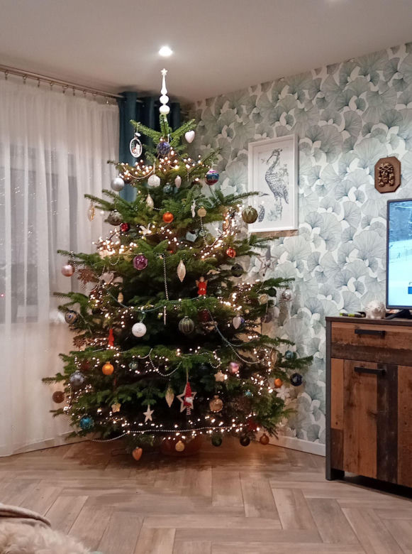 Choinki naszych Czytelników. Taki klimat tylko w woj. lubelskim!