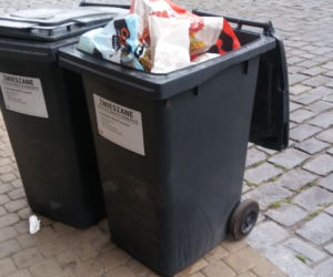Grudziądz: Ktoś wyrzucił 9 szczeniąt do śmietnika. Nie wszystkie przeżyły...