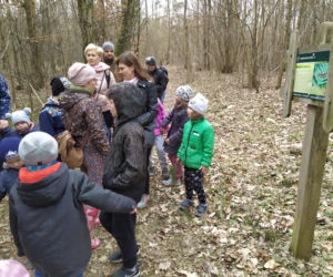 Siedlczanie szukali pierwszych śladów wiosny wraz z leśnikami z Nadleśnictwa Siedlce