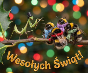 Piękne życzenia świąteczne 2025 dla rodziców. Ciepłe i pełne wdzięczności życzenia