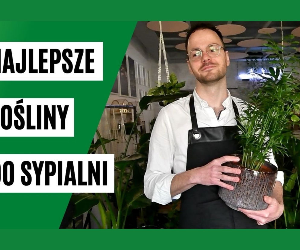 rośliny do sypialni