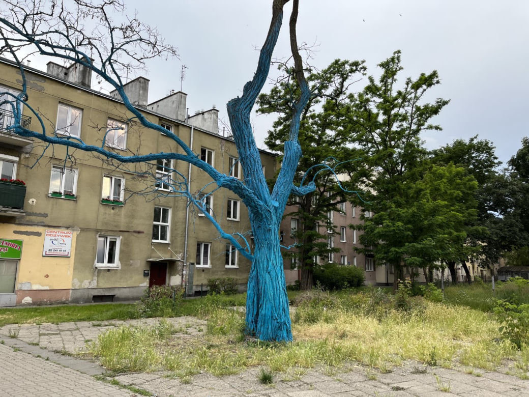Drzewo zostanie wycięte