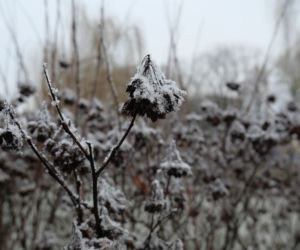 Prognoza pogody na Święta 2019