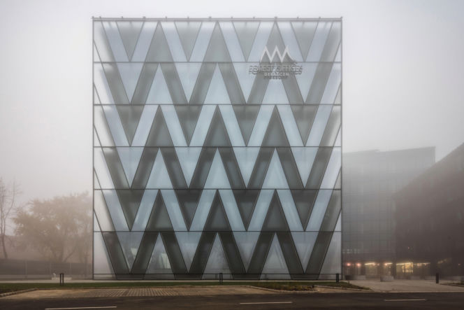 Szkło – bohater tła