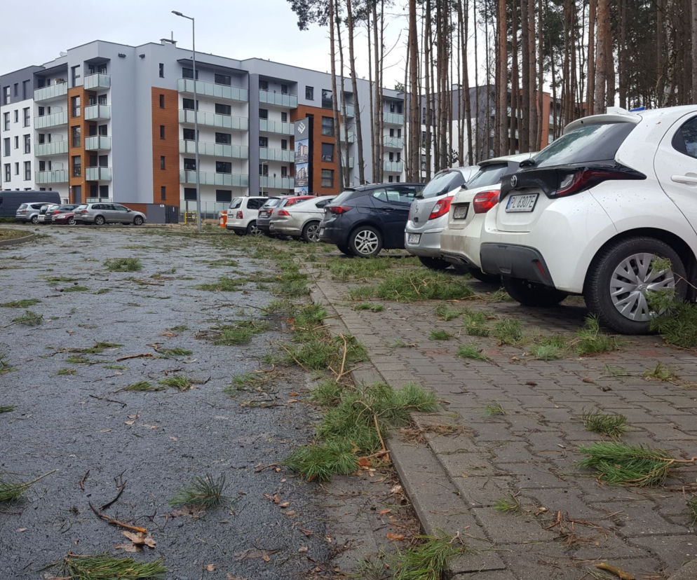 Trwa szacowanie szkód po wichurze nad Lesznem 