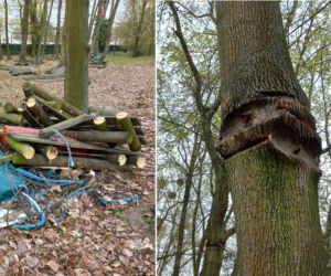 Trwa rozbiórka parku linowego. Co w jego miejscu?