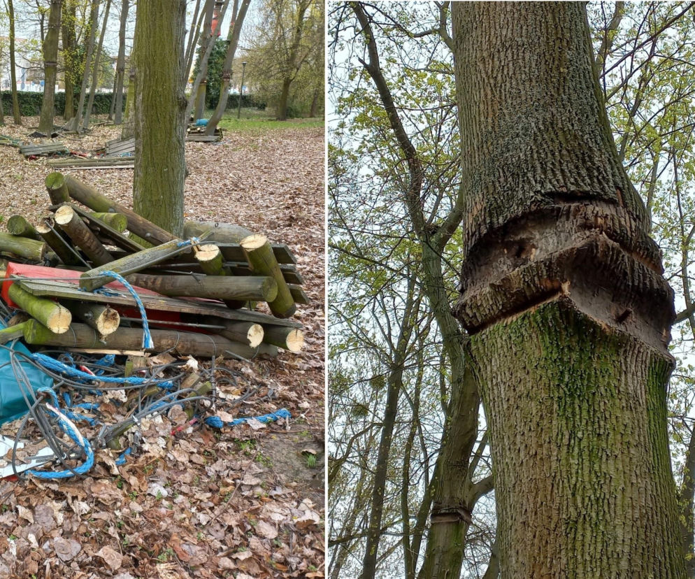 Trwa rozbiórka parku linowego w Lesznie. Co w jego miejscu? [ZDJĘCIA]